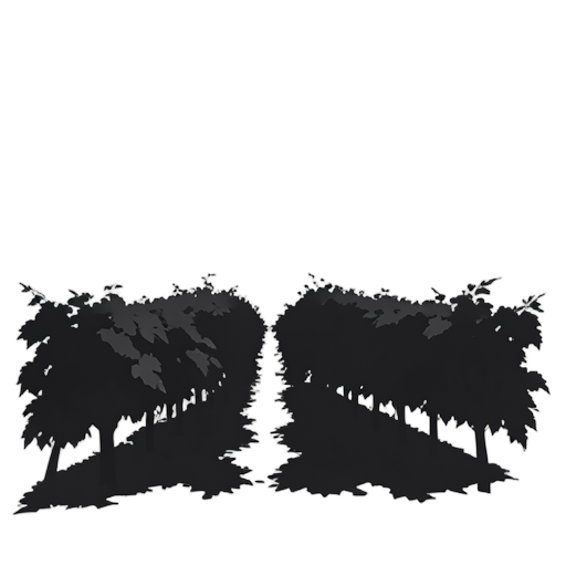 Silhouette Wijngaard