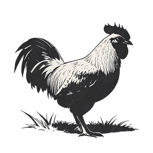 Woodcut Gallina