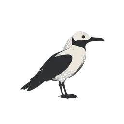 अल्बाट्रॉस