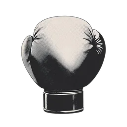 Boxing Glove