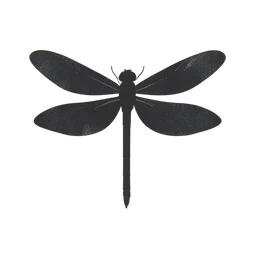 Dragonfly icon preview