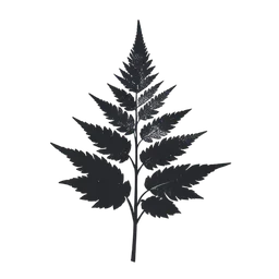 Fern