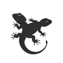  gecko