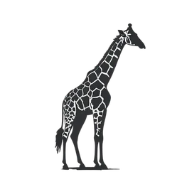 Girafa