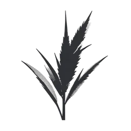 gras