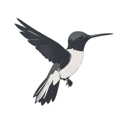 Hummingbird