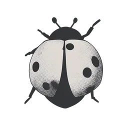 Ladybug