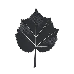 나뭇잎 icon preview