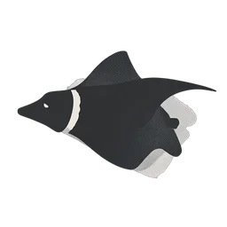 Manta vis