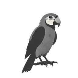 burung beo icon preview