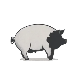 Pig
