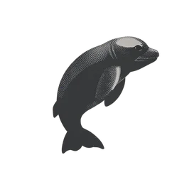 Porpoise
