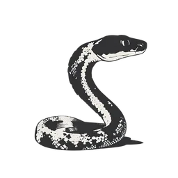 Serpente de cascavel icon preview