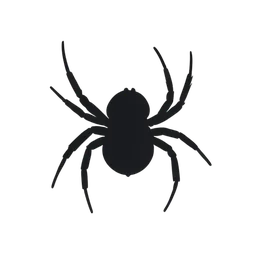 aranha