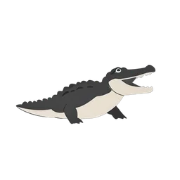 Alligator