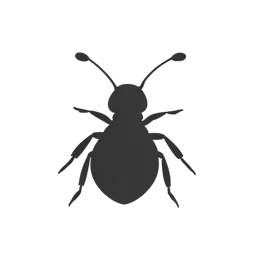 蚂蚁