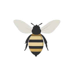 Honey Bee