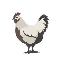 Ayam