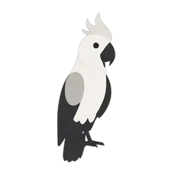 Cockatoo