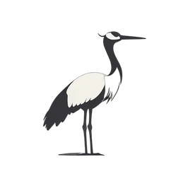 Crane Bird