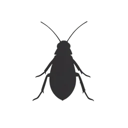 จิ้งหรีด