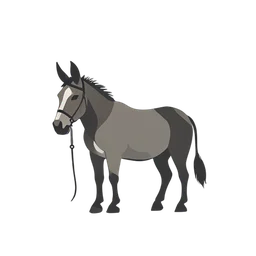 Farm Donkey