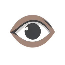 Eye