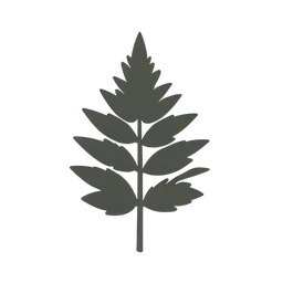 Fern
