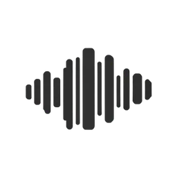 Audio File