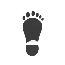 Dấu chân