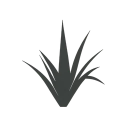 erba