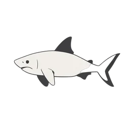 ホワイトシャーク