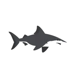 Hammerhead Shark