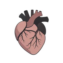 आंतरिक हृदय