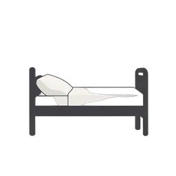 Hospital Bed