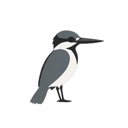 Kingfisher