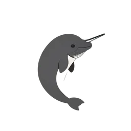 Narwhal