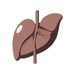 البنكرياس icon preview