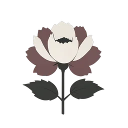 牡丹