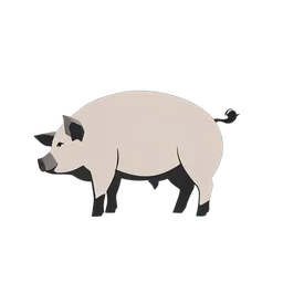 돼지