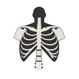 القفص الصدري