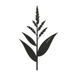 Plante de riz