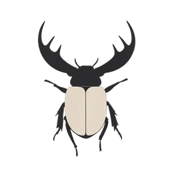 Stag Beetle