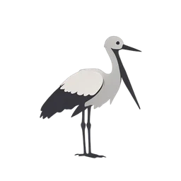 Stork