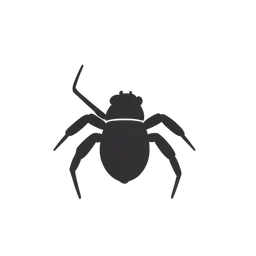 tarantula