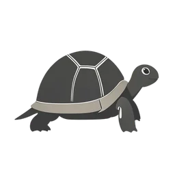 乌龟