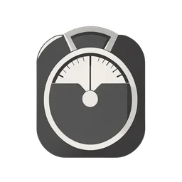 Weight Scale