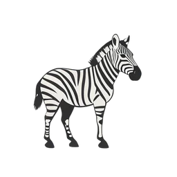 zebra