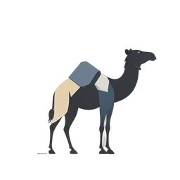 Camel