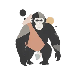 Chimpanzee